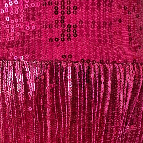 Dolly Parton Style Pink Fringe Skirt - Picture 4 of 4